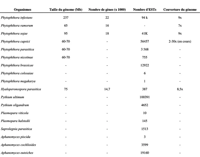 Tableau 2 : Données de génomiques d’oomycètes disponibles. Les données d’EST sont celles disponibles sur le NCBI.