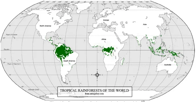 Fig. 12: Cartes des forêts tropicales humides 13 . 