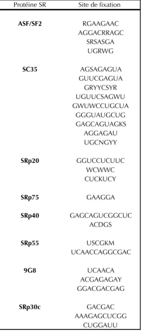 Tableau 1: Exemples de séquences d’ARN identifiées comme sites de fixation de certaines protéines SR;   adapté de Long &amp; Caceres, 2009