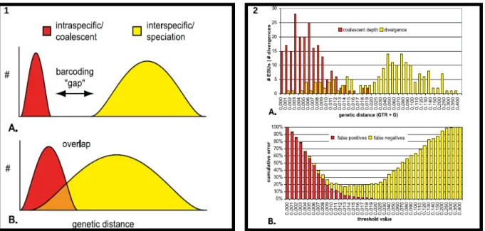 Figure 15.  Distribution de la divergence d’une séquence code-barres ADN à l’intérieur des 