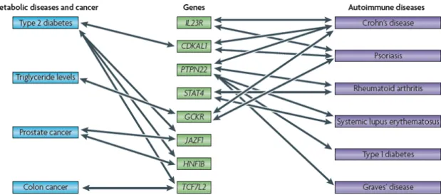 Figure 15  :  Recouvrement  des  loci  contenant  les  facteurs  de  risque  génétique  aux  maladies  communes 