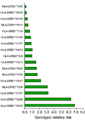 Figure 18  :  Risque  génotypique  relatif  pour  la  sclérose  en  plaques  en  fonction  des  combinaisons  d’allèles 