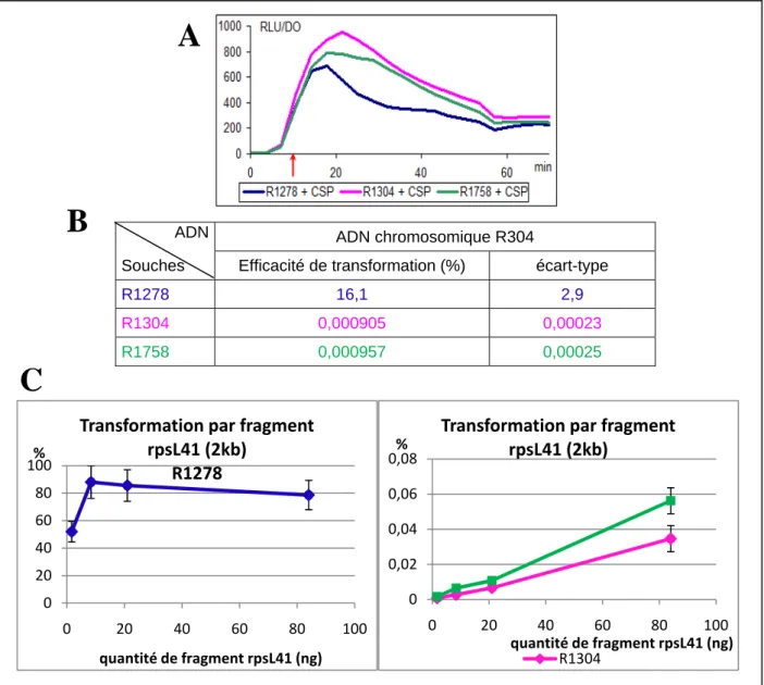 Figure 19 : Capacité de transformation d’un mutant dprA- et effet suppresseur de la mutation 