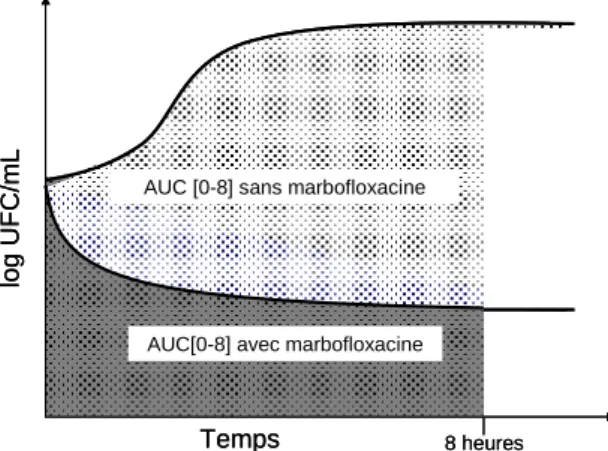 Figure 18 : Représentation des aires utilisées pour le calcul de l'effet bactéricide. 