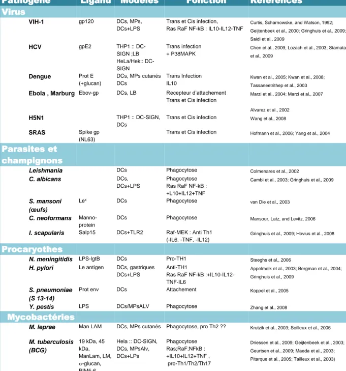 Tableau récapitulatif des différents pathogènes interagissant avec DC-SIGN et de la fonction immuno- immuno-modulatrice de ces interactions chez l’homme.