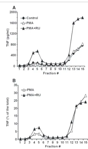 Fig. 6 – The PMA-stimulated cleavage of TNF occurs in lipid rafts. (A) ECV TNF cells were left untreated (Control) or