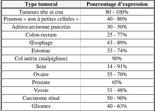 Tableau 4: Expression de l’EGFR dans les différents types de tumeurs  