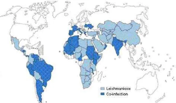 Figure 8 : Distribution des cas de co-infection VIH/Leishmania [23]. 