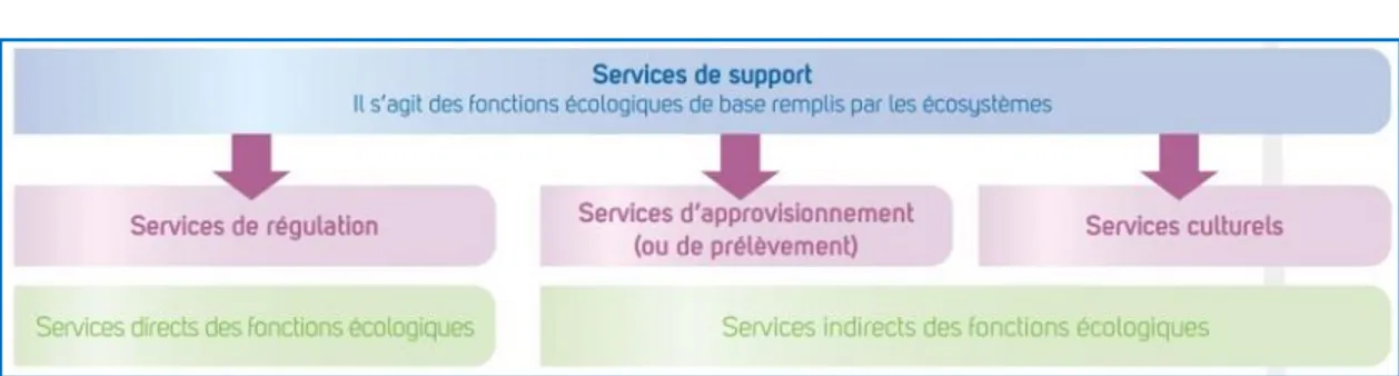 Figure 15. Les différents services écologiques fournis par les espaces de nature  Source : Union Internationale pour la conservation de la nature France 