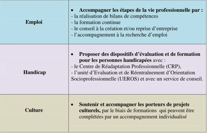 Tableau  2 : Tableau présentant les champs d’intervention et les actions de Cépière  Formation