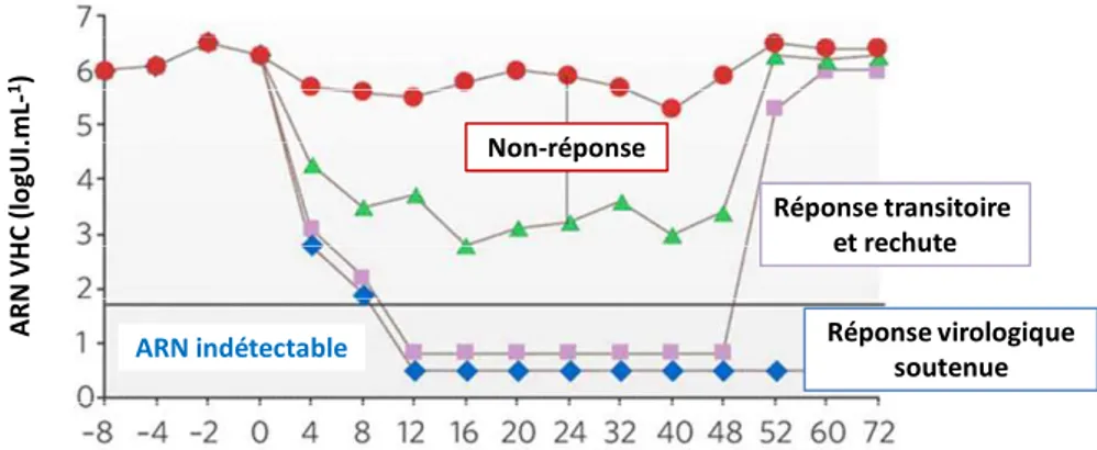 Figure 10. Réponses au traitement contre le virus de l'hépatite C. (J.J. Feld, 2005) 