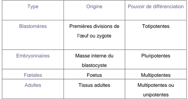 Tableau I : Les différents types de cellules souches classées selon leur origine 