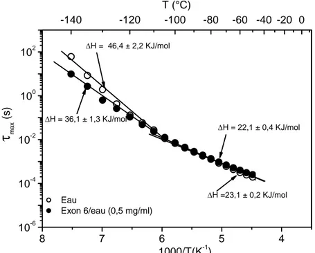 Figure 3.18 : Dépendance en température des temps de relaxation du mode β de l’eau et de  l’exon 6 dans l’eau (0,5 mg/ml)  