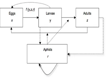 Fig.  1.  Schematic  diagram  of  the  stage  structure  used  in  the  models.  The  letters  in  each  box 