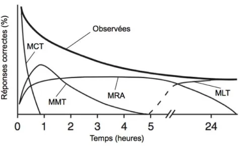 Figure  2  :  Les  phases  de  la  mémoire  :  exemple  de  Drosophila  melanogaster.  Quatre  phases 