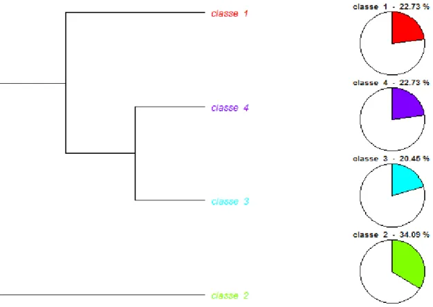 Figure 1 : dendrogramme à partir de CHD fourni par IRaMuTeQ : classification par méthode Alceste 