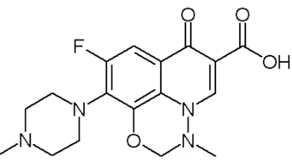 Figure 5 : Structure chimique de la marbofloxacine 