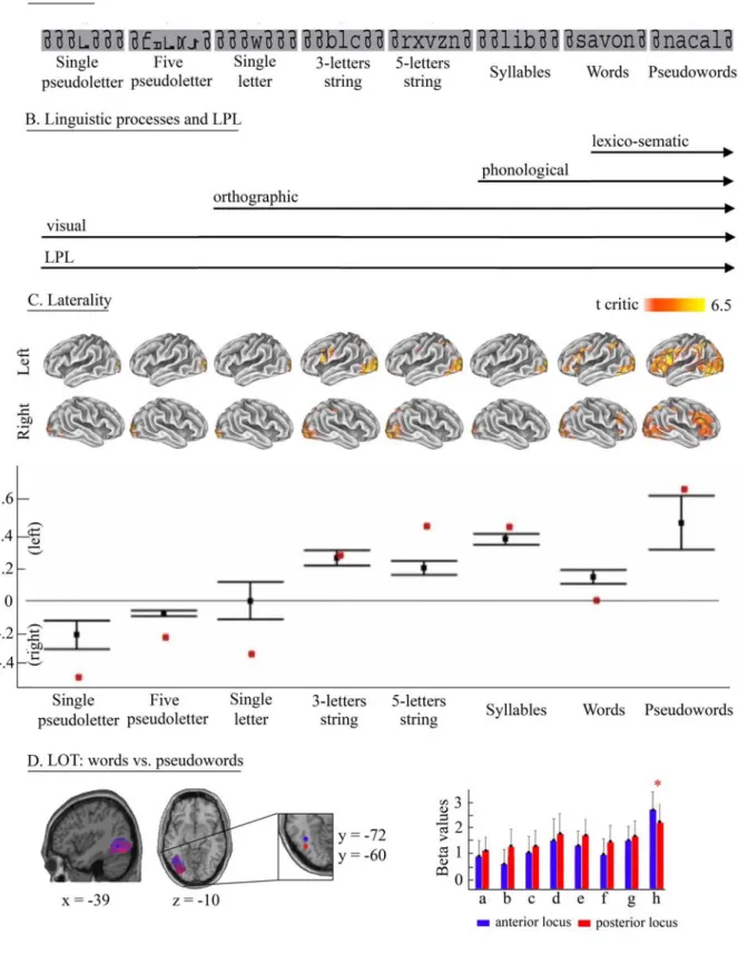 Figure 2.1 Examples of stimuli used for each of the eight experimental stimulus-categories (A),  aligned to the involvement in reading processing steps (B), and the corresponding statistical  parametric maps and lateralization indices (C)