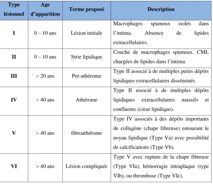 Tableau 1 : Classification des lésions d’athérosclérose (d’après Stary et al., 1995)   Type 