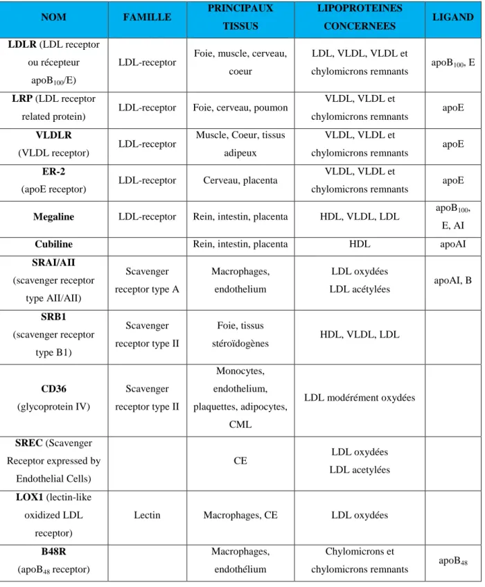 Tableau  4 : Récepteurs cellulaires des lipoprotéines (d’après Lagrost et al., 2004)) 