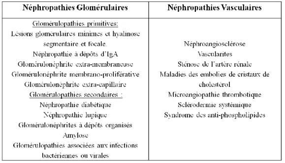 Tableau 2: Liste des principales néphropathies glomérulaires et vasculaires 