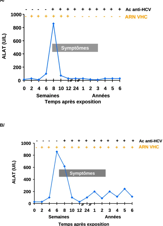Figure 3 : Cinétique des marqueurs de l’infection HCV aiguë (A) et chronique (B). 
