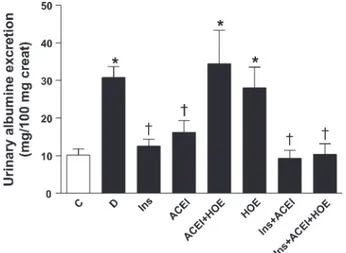 Fig. 1. Urinary albumin excretion from diabetic rats (filled bars) treated with insulin (Ins), angiotensin-converting enzyme inhibitor (ACEI), ACEI and the B2-kinin receptor antagonist HOE-140, HOE-140 alone (HOE), Ins combined with ACEI (Ins ⫹ ACEI), or I