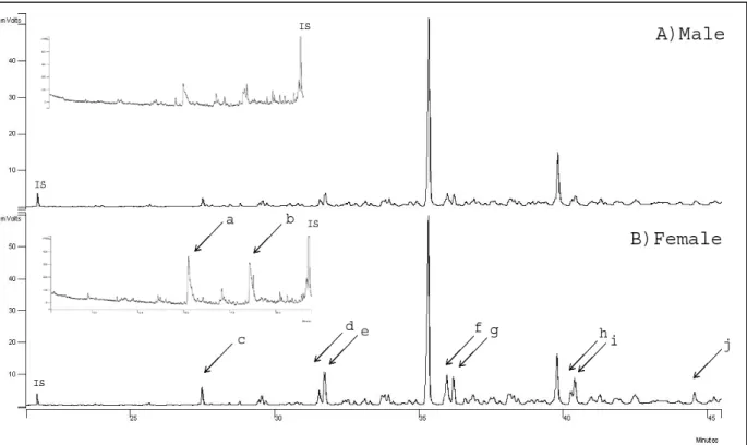 Figure  2:  Representative  FID  chromatograms  for  preen  secretion  of  male  (A)  and  female  (B) 