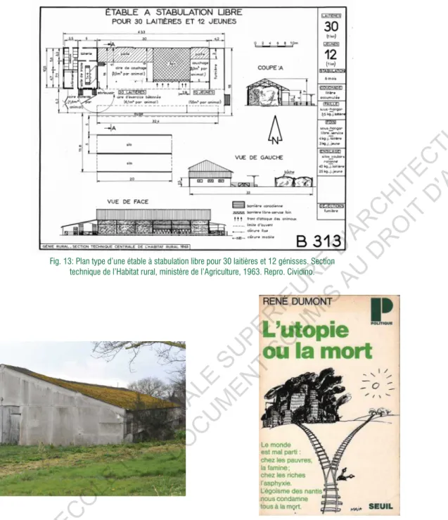 Fig. 13: Plan type d’une étable à stabulation libre pour 30 laitières et 12 génisses. Section  technique de l’Habitat rural, ministère de l’Agriculture, 1963