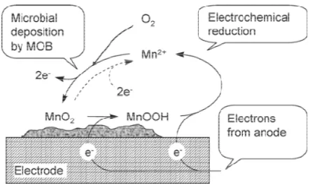 Figure I.18. Représentation schématique du dépôt et de la ré-oxydation du manganèse utilisés comme 