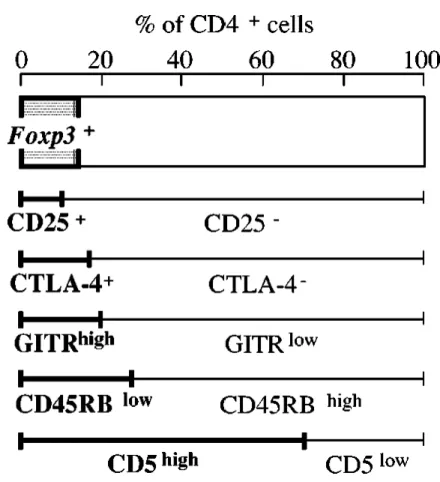 Figure  10  :  Cell  surface  markers  for  naturally  arising  CD4+  Treg  cells.  The  most 