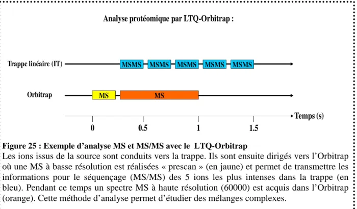 Figure 25 : Exemple d’analyse MS et MS/MS avec le  LTQ-Orbitrap