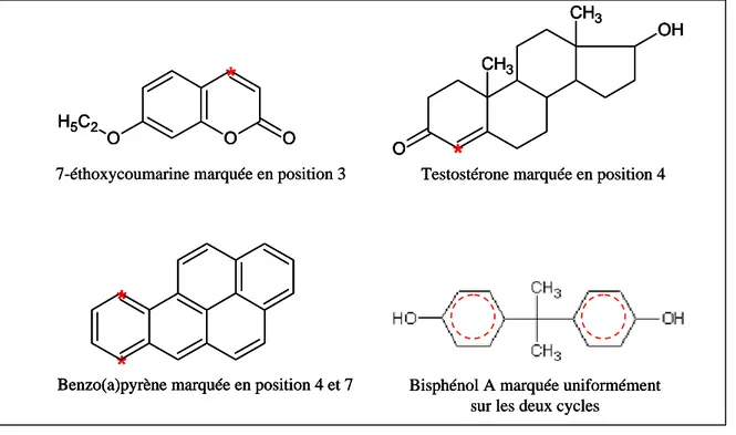 Figure 18: Position(s) de  marquage au carbone 14 des molécules étudiées 
