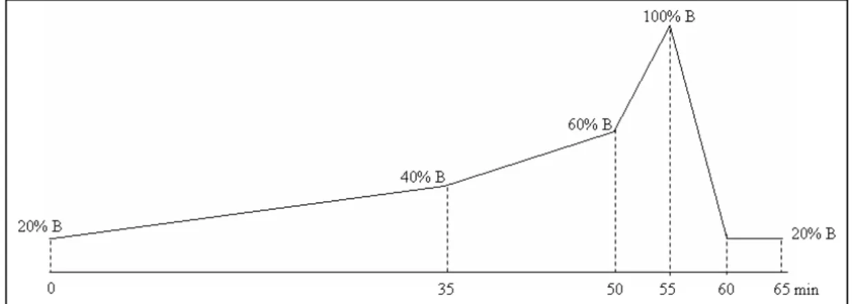 Figure 24 : Gradient HPLC, système Testostérone 