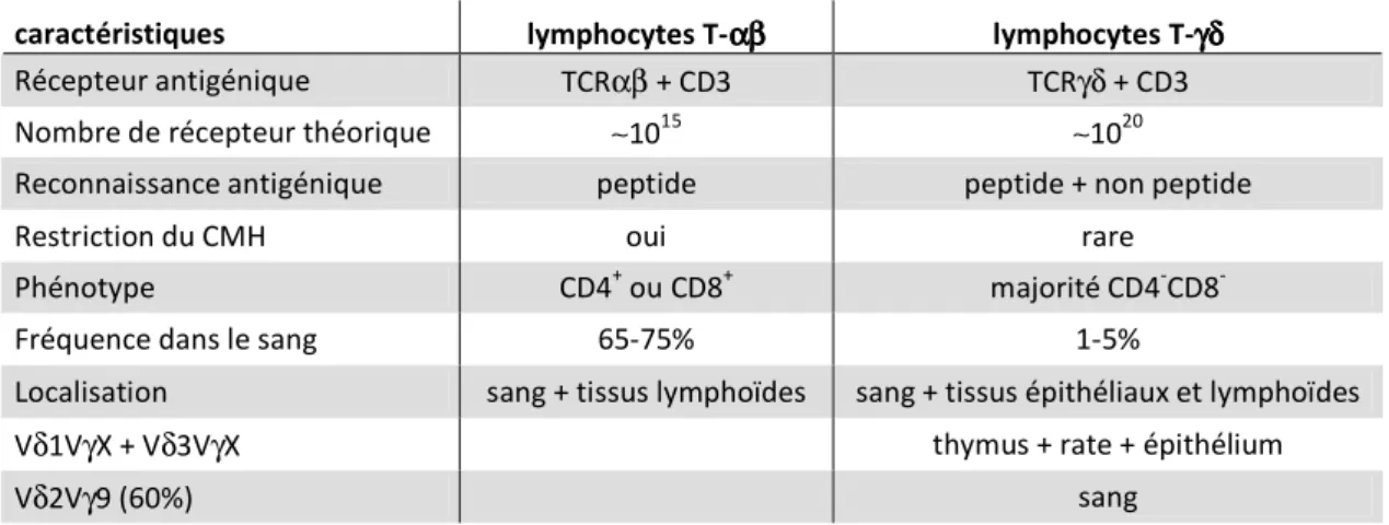 Table 2 : Caractéristiques comparatives des lymphocytes T- αβ αβ αβ αβ  et T- γδ γδ γδ γδ