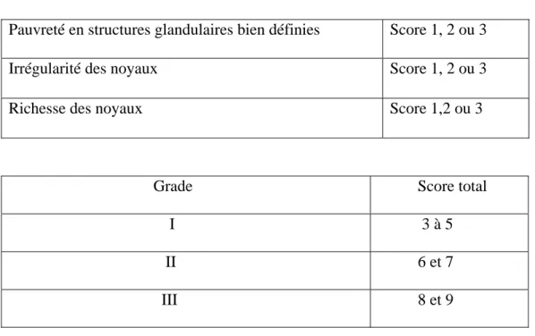 Tableau 2 : Classification SBR 