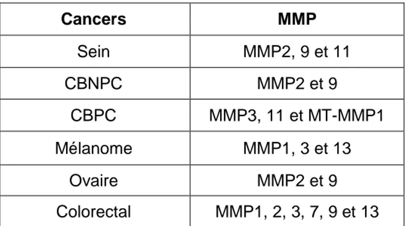 Tableau 5 : Principales MMP dérégulées dans les cancers (D’après Vihinen et al., 2005) 
