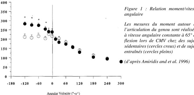 Figure  1  :  Relation  moment/vitesse  angulaire 