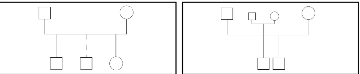Figure 4. Représentations traditionnelle et alternative de l’adoption   dans le génogramme 