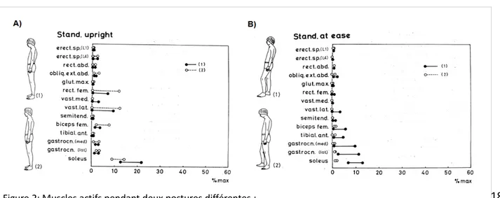 Figure 2: Muscles actifs pendant deux postures différentes :  (A) : enregistrement de l'activité musculaire sur la position debout; 