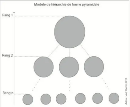 Figure 4 : Modèle de hiérarchie de forme pyramidale.