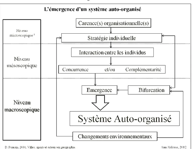 Figure 1 : L’émergence d’un système auto-organisé 