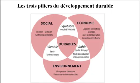 Figure 6 : Les trois piliers du développement durable  