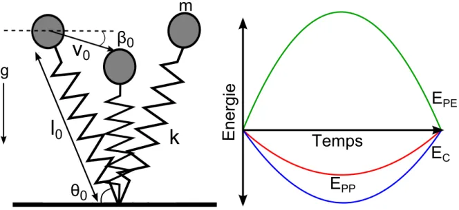 Figure 2.1 – Le modèle de masse bondissante et la variation d’énergie au CoM
