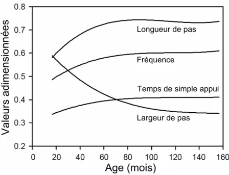 Figure 2.7 – Paramètres de marche spontanés adimensionnés en fonction de l’age ; adapté
