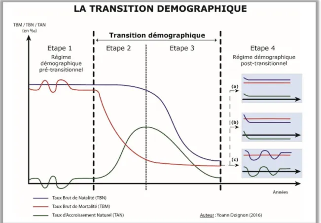 Figure 1 : La transition démographique.  Réalisation : Doignon, 2016. 