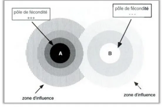 Figure 4 : « Schéma de base du modèle territorial ».  Réalisation : Etchelnecou, 2000