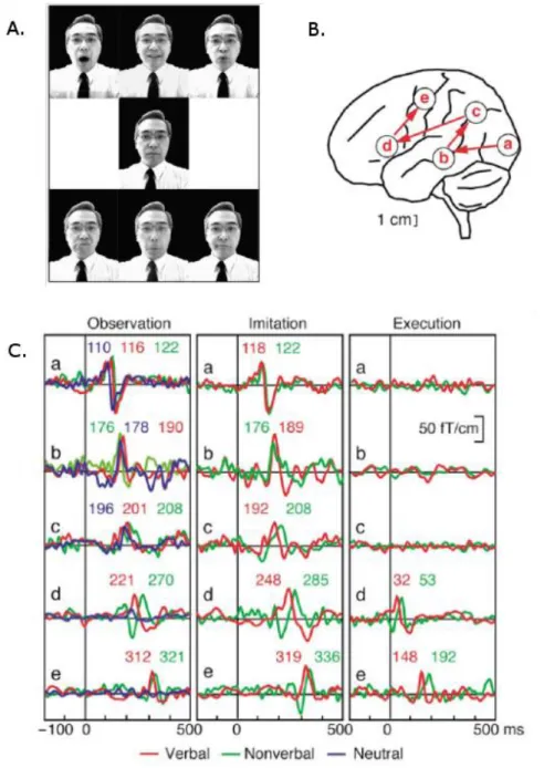 Figure  12:  Illustration  du  protocole  expérimental  de  Nishitani  et  al.  (2002)