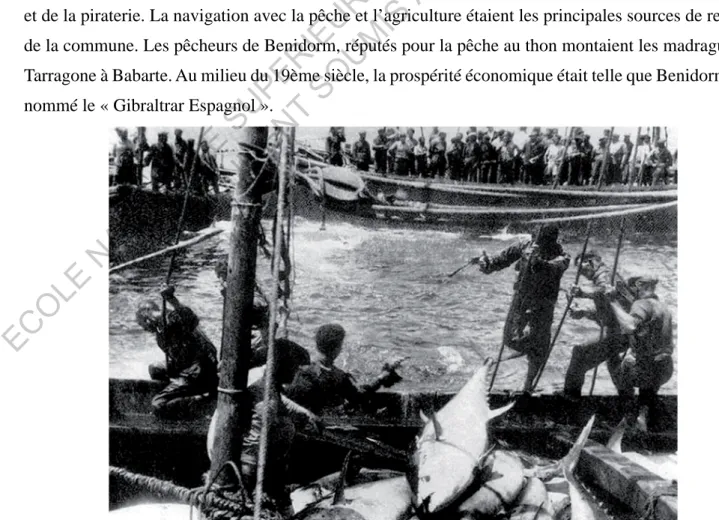 Fig. 10 Madrague de Benidorm, Historia de Benidorm