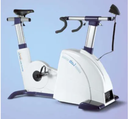 Figure 1 : Ergocycle 